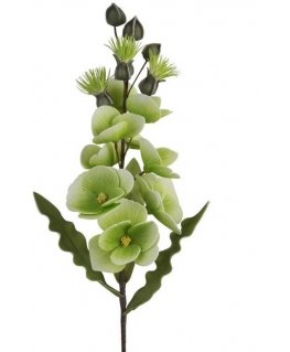 Eurofirany KW/FLORE/806/SEE SOUL