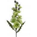 Еврофираны KW/FLORE/806/SEE SOUL Еврофираны KW/FLORE/806/SEE SOUL