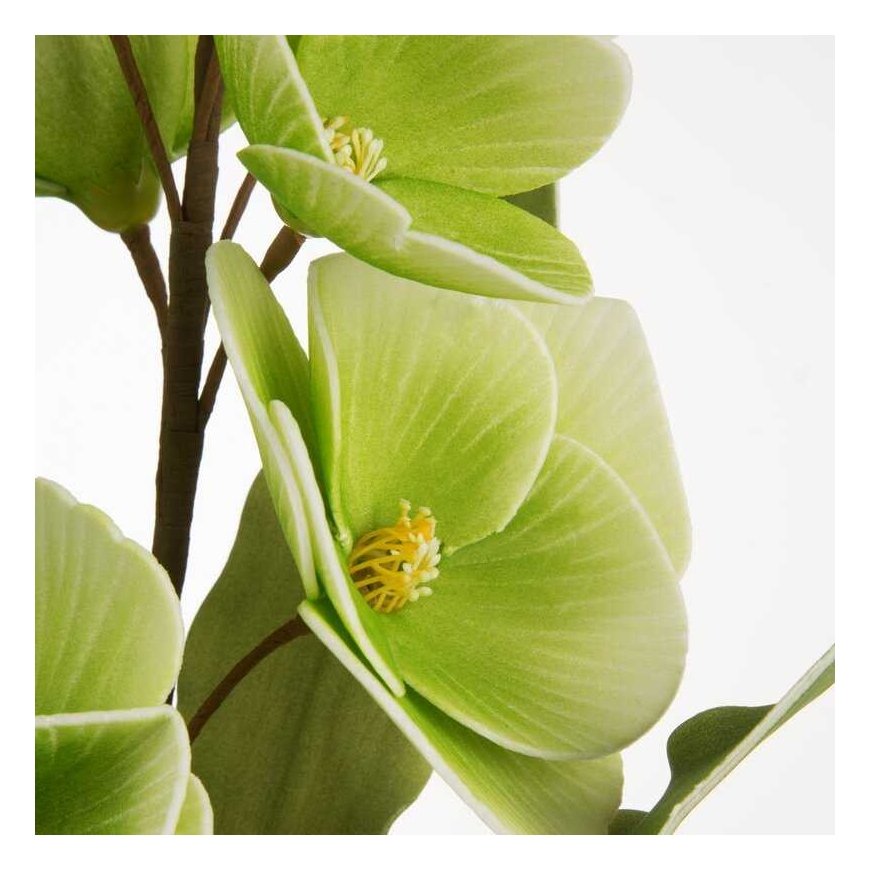 Еврофираны KW/FLORE/806/SEE SOUL – 2