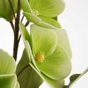 Eurofirany KW/FLORE/806/SEE SOUL Eurofirany KW/FLORE/806/SEE SOUL