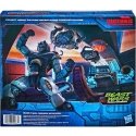 Hasbro Transformers War From Cybertron Covert Agent Ravage + Decepticon Forever Ravage figures set 15cm