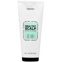 Скраб для кожи головы Kemon Healthy Scalp с киви, 200 мл