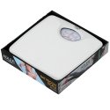 Adler AD 8151W personal scale Rectangle White Mechanical personal scale Adler AD 8151W personal scale Rectangle White Mechanical personal scale
