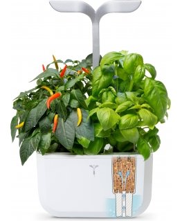 iGET Véritable Exky SMART – automatinis gėlių vazonas su apšvietimo valdymu, baltas + 2 žolelių įdarai