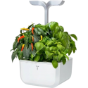 iGET Véritable Exky SMART – automatic flower pot with lighting control, white + 2 herb refills iGET Véritable Exky SMART – automatic flower pot with lighting control, white + 2 herb refills