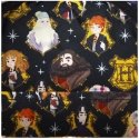 Loungefly Harry Potter kevätreppu 26cm Loungefly Harry Potter kevätreppu 26cm