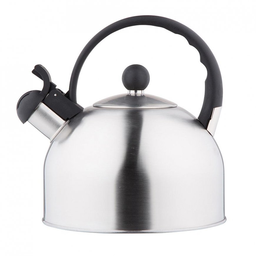 Altom Design Roostevaba terasest veekeetja Daily Satin, 2,5L