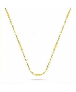 Brilio Silver Subtilus gold-plated necklace for women NCL197Y
