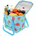 THERMAL BAG 32x25x35 CM 28L FRUIT MELON ENERO CAMP THERMAL BAG 32x25x35 CM 28L FRUIT MELON ENERO CAMP