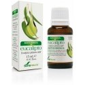 Soria Eikalipta Esence 15ml Soria Eikalipta Esence 15ml
