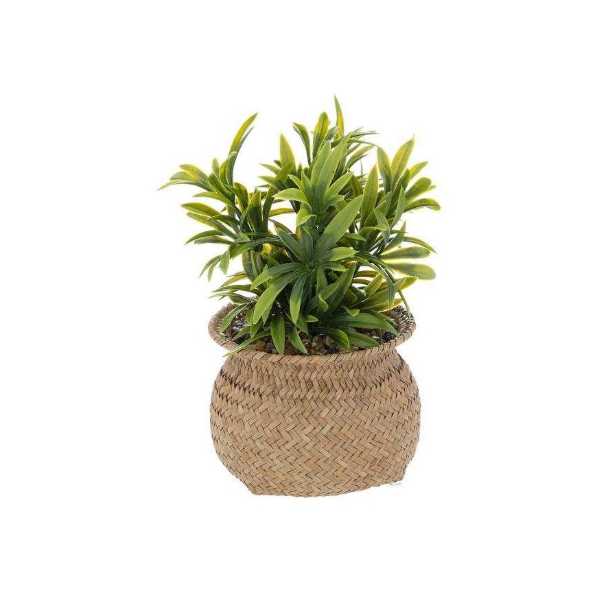 Atmosphera Mākslīgais augs JIL podiņā, augstums 20 cm