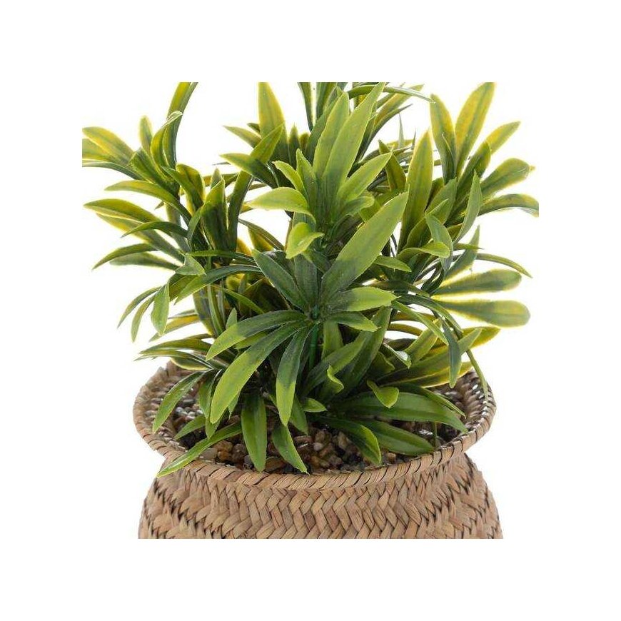 Atmosphera Dirbtinis augalas JIL vazonėlyje, aukštis 20 cm – 2