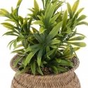 Atmosphera Dirbtinis augalas JIL vazonėlyje, aukštis 20 cm Atmosphera Dirbtinis augalas JIL vazonėlyje, aukštis 20 cm