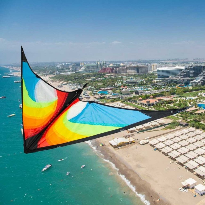 SPORTING ACROBATIC KITE 120x55CM JANUARY – 4