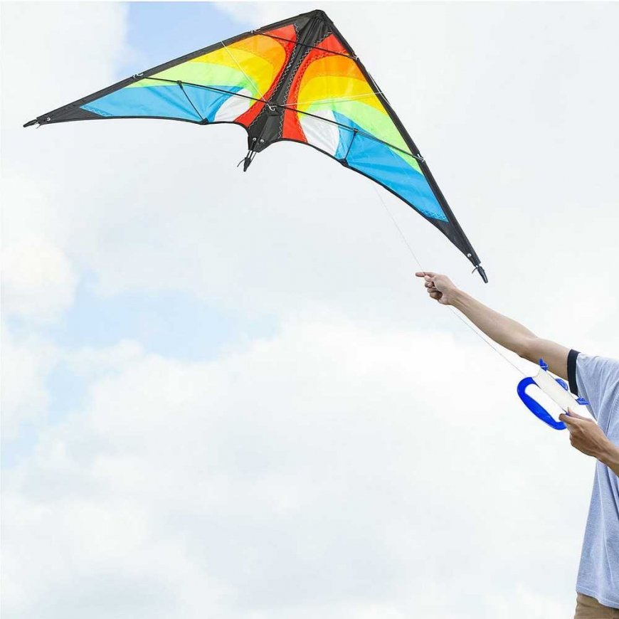 SPORTING ACROBATIC KITE 120x55CM JANUARY – 5