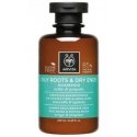 Apivita shampoo for oily roots and dry ends 250ml Apivita shampoo for oily roots and dry ends 250ml