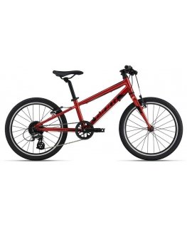 Bērnu velosipēds Giant ARX 20 Grenadine (X)