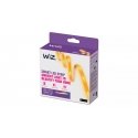 WiZ LED-ribavalgusti 4 m