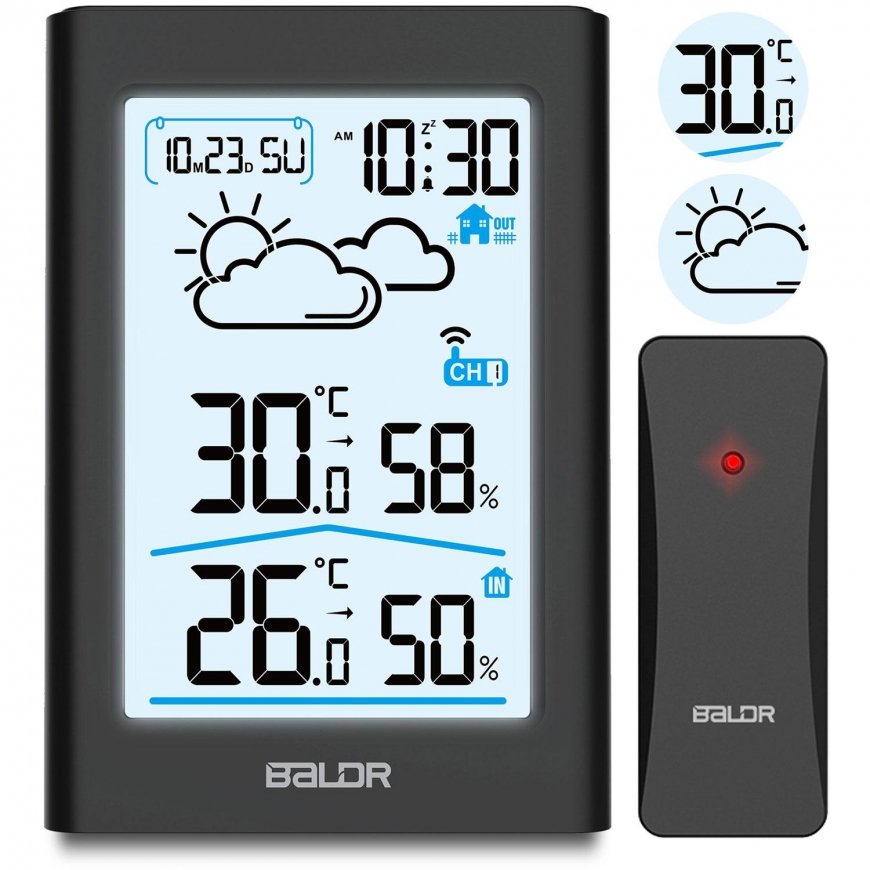 Berdsen Meteorological Station with screen BD-911 black