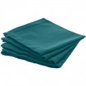 Atmosphera CHAMBRAY Table napkins 40 x 40 cm, Green Atmosphera CHAMBRAY Table napkins 40 x 40 cm, Green