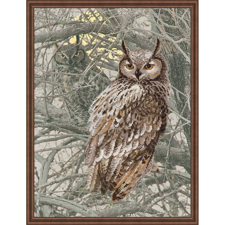 Uab Riolis Cross Stitch Kit "Eagle Owl" 0038 PT