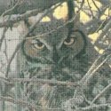 Uab Riolis Cross Stitch Kit "Eagle Owl" 0038 PT Uab Riolis Cross Stitch Kit "Eagle Owl" 0038 PT