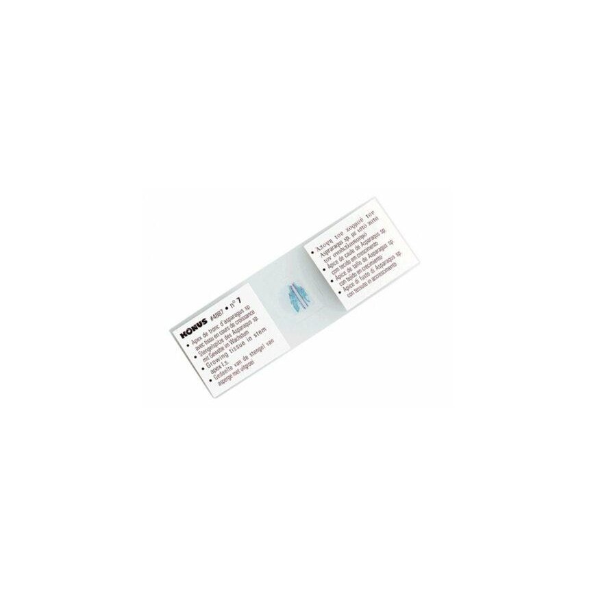 Microscope Cone Natural Science Education Set