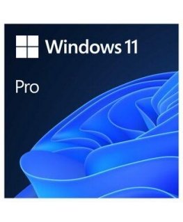 Microsoft Windows 11 Pro