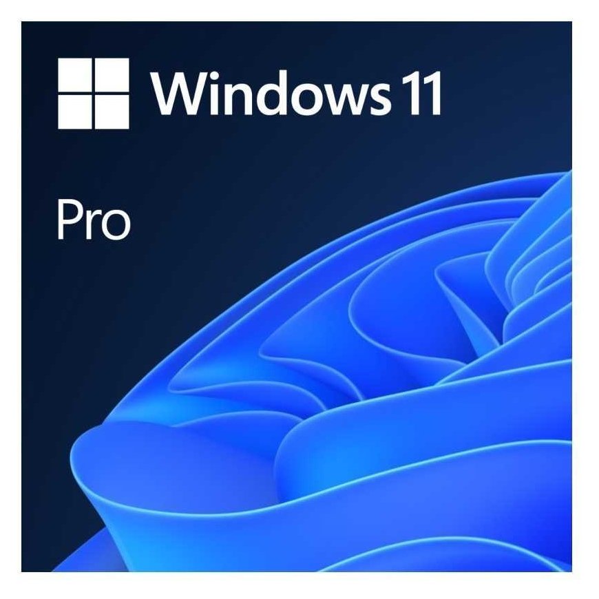 Microsoft Windows 11 Pro – 2