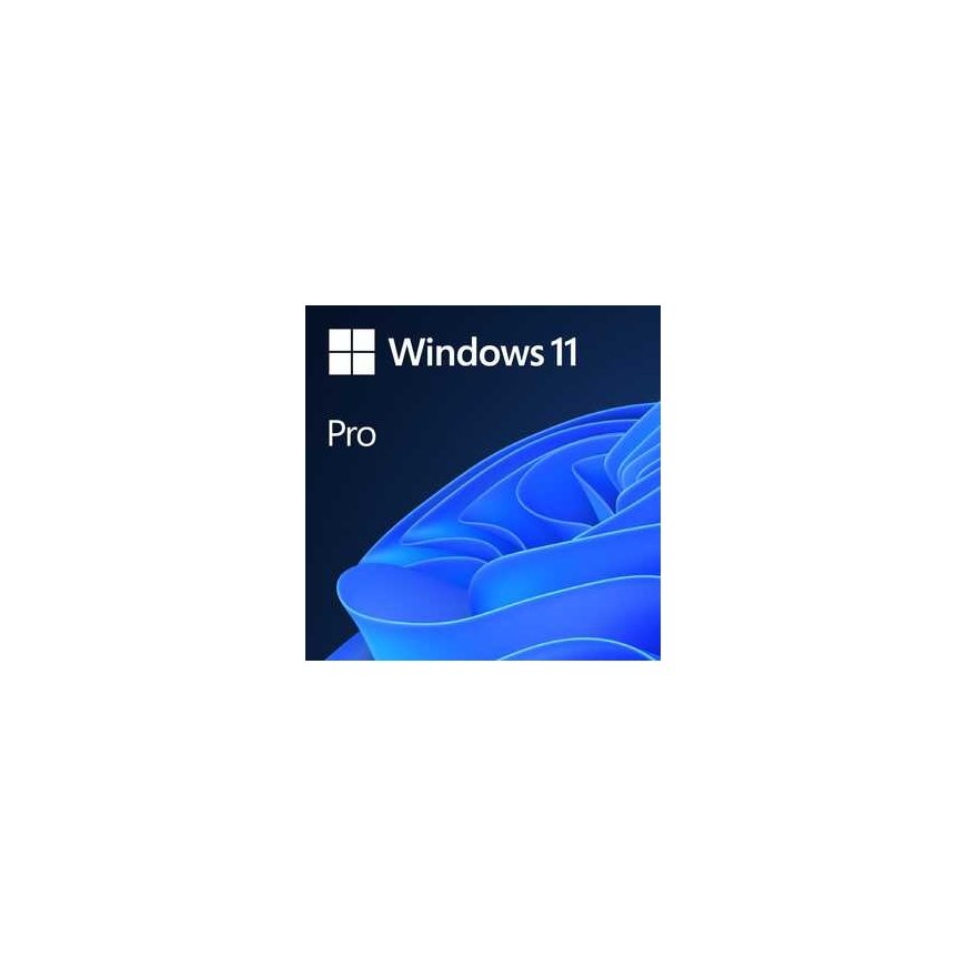 Microsoft Windows 11 Pro – 3