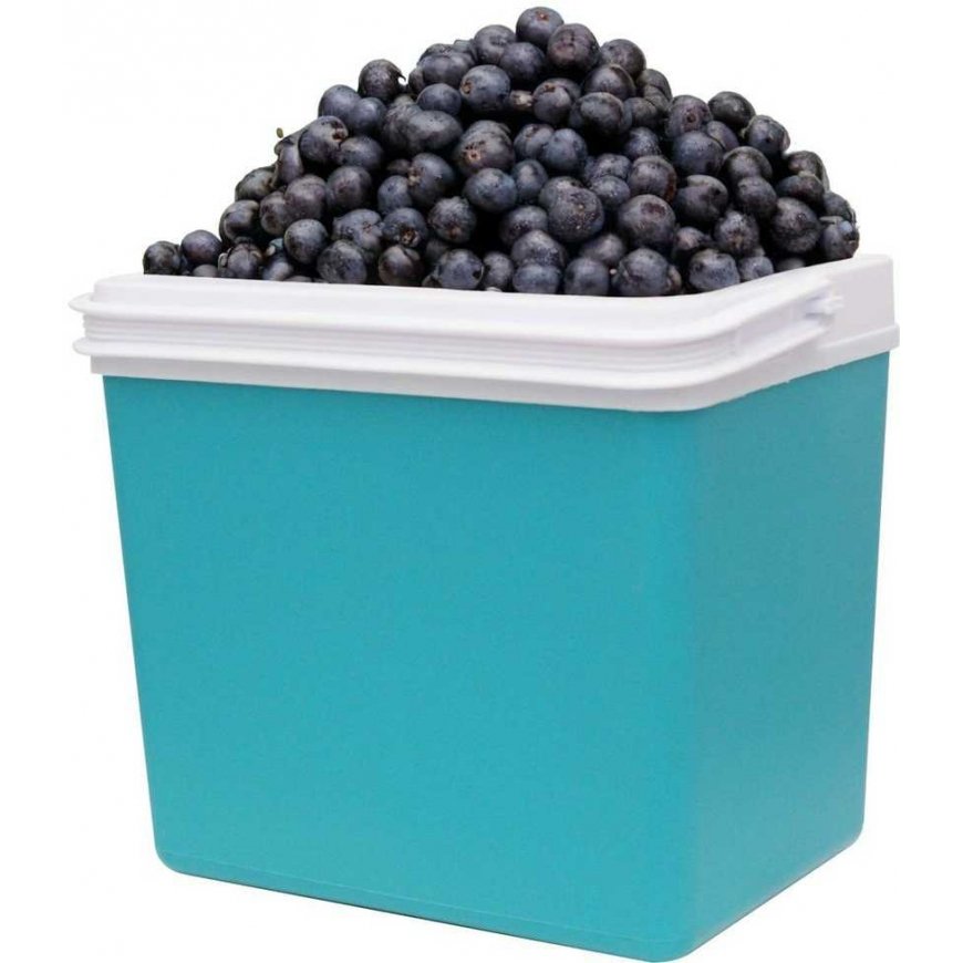 Redcliffs PASIVUS TOURIST Refrigerator 24L – 5
