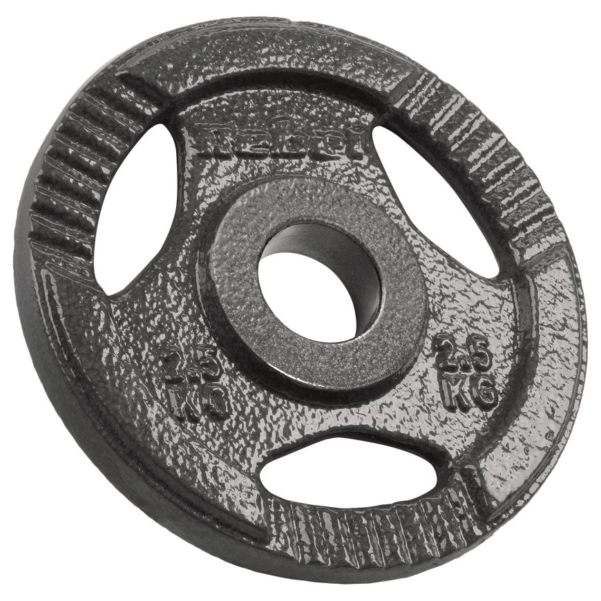 Cast iron Olympic weight set 4 x 2.5kg, 51 mm hole, plate with handles, REBEL ACTIVE – 2