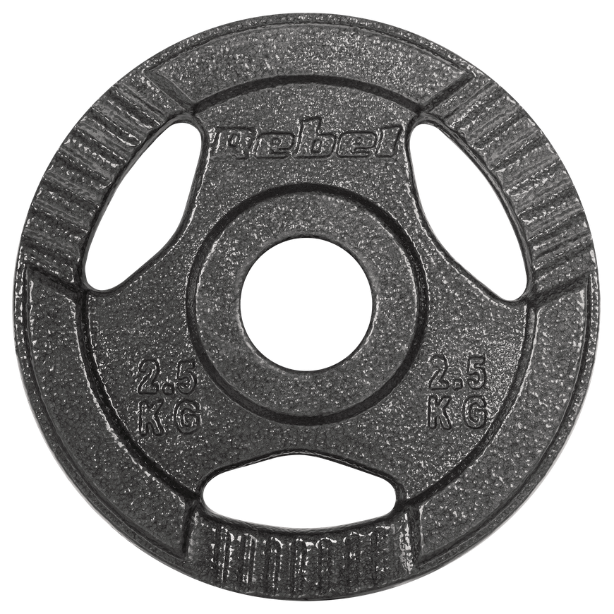 Cast iron Olympic weight set 4 x 2.5kg, 51 mm hole, plate with handles, REBEL ACTIVE – 3
