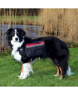 Accessories for dogs : Trixie Backpack for dogs, L