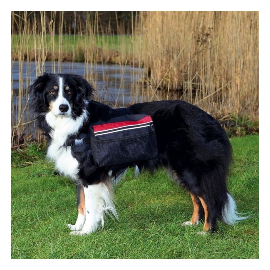 Accessories for dogs : Trixie Backpack for dogs, L