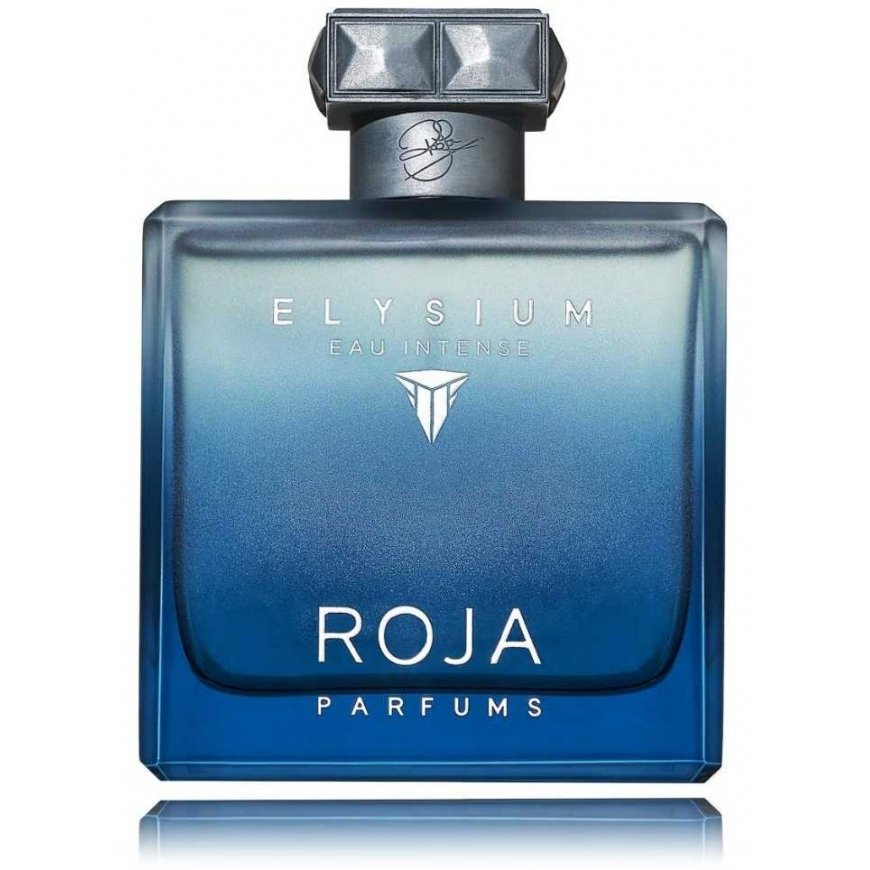 Roja Parfums Elysium Eau Intense 100ml Niche Perfume for Men EDP
