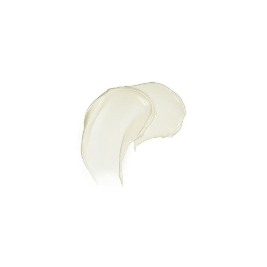 Weleda 6222DC Veido dieninis arba naktinis kremas Veidas 40 ml – 4