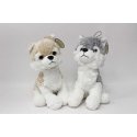 Pühapäev Päike Päev Pirukad P-3261 Husky 30cm 2kol 162953