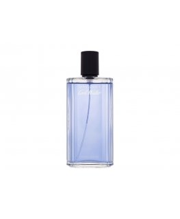 Kvepalai vyrams Davidoff Cool Vanduo EDT, 125 ml