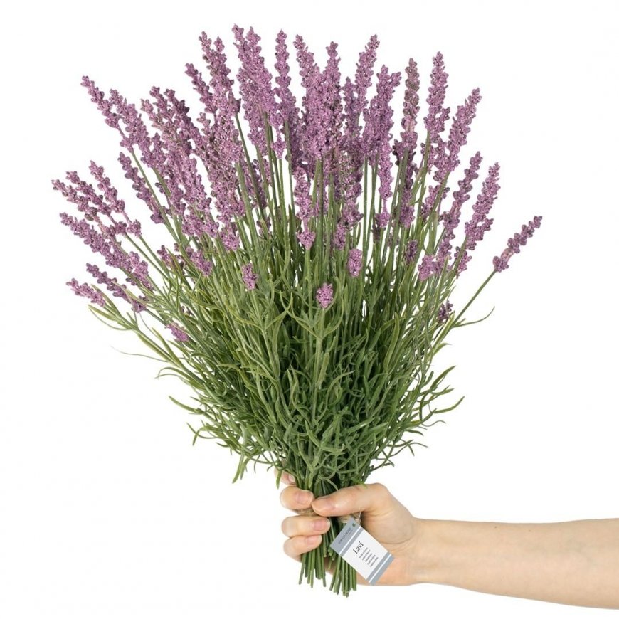 Tekokukka LAVI violetti boho-tyyli ameliahome