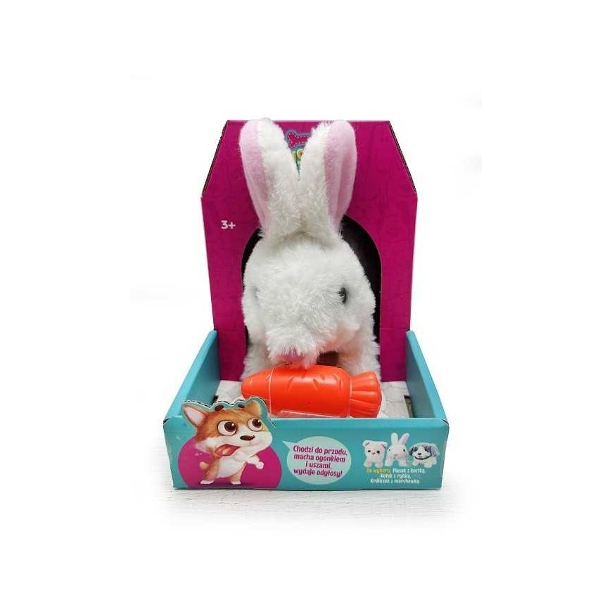 Arty the Rabbit walks with a carrot