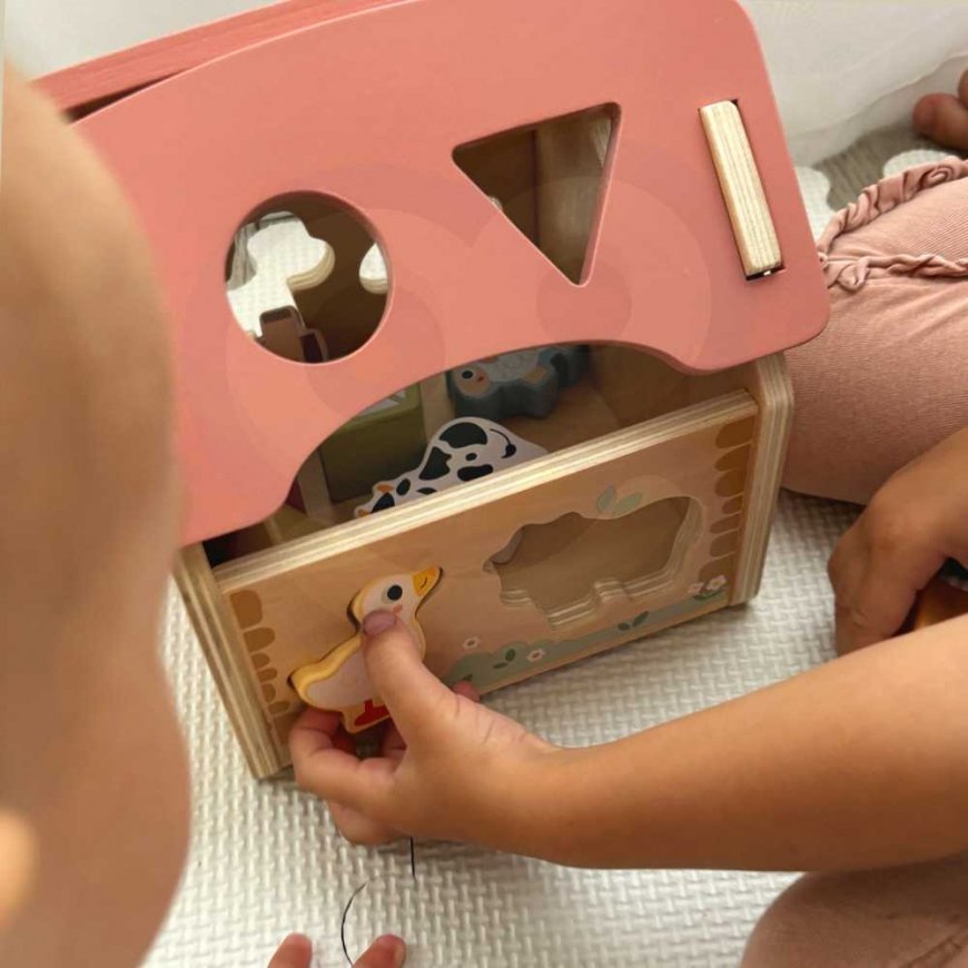 WOOPIE Roheline puidust talude vormide ja värvide sorteerija, 13 tk. – 4