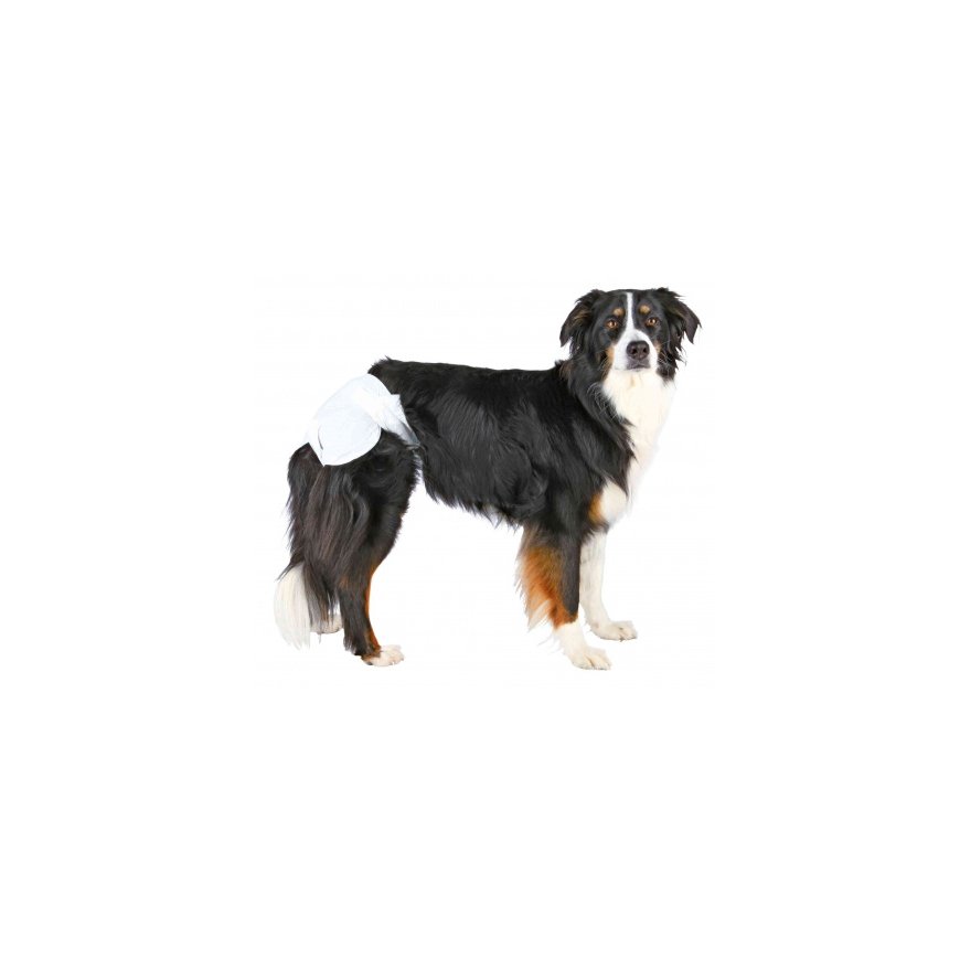 TRIXIE 23634 Koer – 2