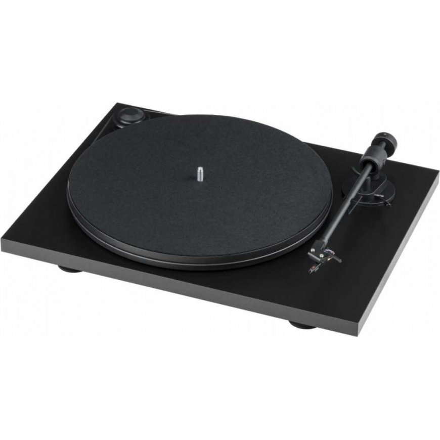 Felt mat Pro-Ject Standard for turntable - black (diameter 295 mm) – 2