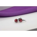 Brilio Silver Unique silver earrings with red zirconia EA431WR Brilio Silver Unique silver earrings with red zirconia EA431WR