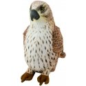 Lean Toys pehmolelu, vaeltava haukka, ruskea, 30 cm Lean Toys pehmolelu, vaeltava haukka, ruskea, 30 cm