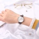 Naiste kell CASIO LTP-VT01L-7B2UDF (zd595b) + karp Naiste kell CASIO LTP-VT01L-7B2UDF (zd595b) + karp