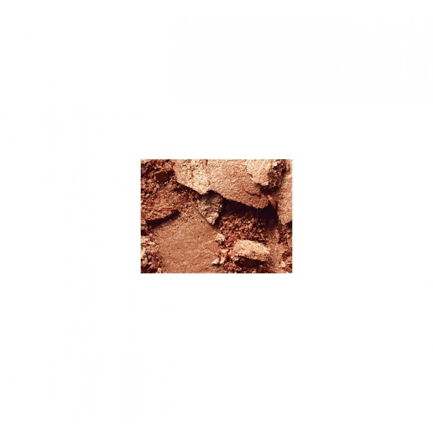 MAC Mineralize Skinfish veido pudra 10 g Gold Deposit – 2