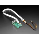 Raspberry Pi Adafruit CSI / DSI Thingy expansion module