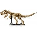 LEGO Jurassic World 76968 Dinosaurusfossiliai: Tyrannosaurus rex LEGO Jurassic World 76968 Dinosaurusfossiliai: Tyrannosaurus rex